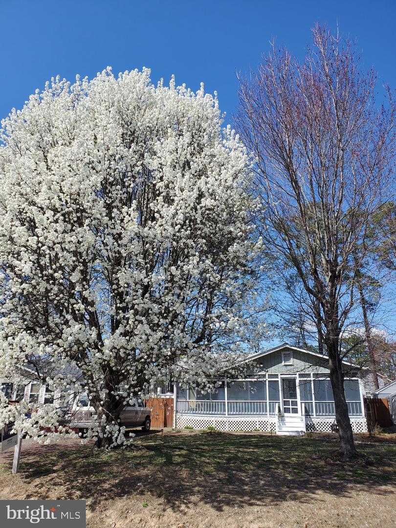 309 2nd St Property Photo