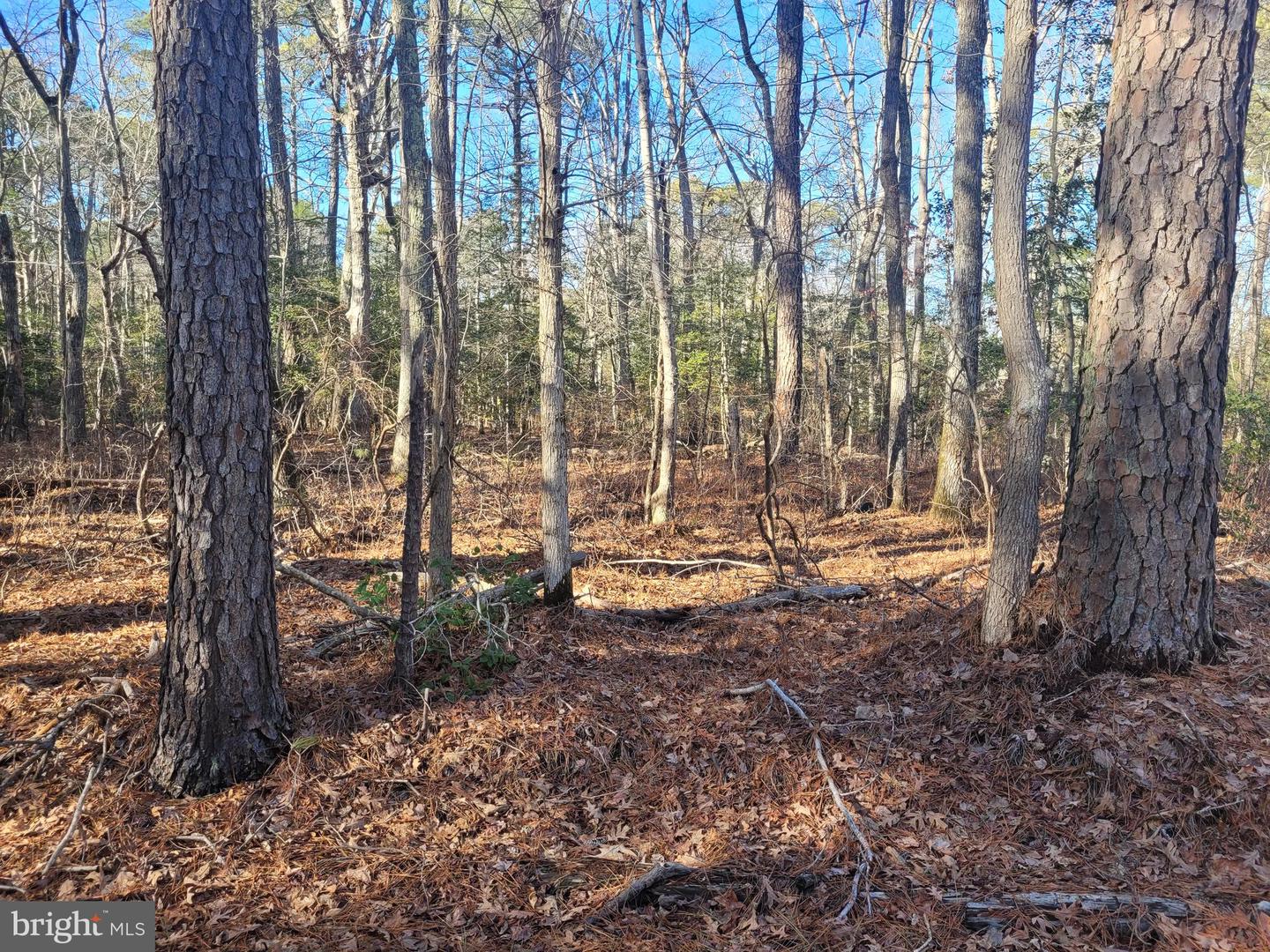 Lot 20 Orange Drive Property Photo 1