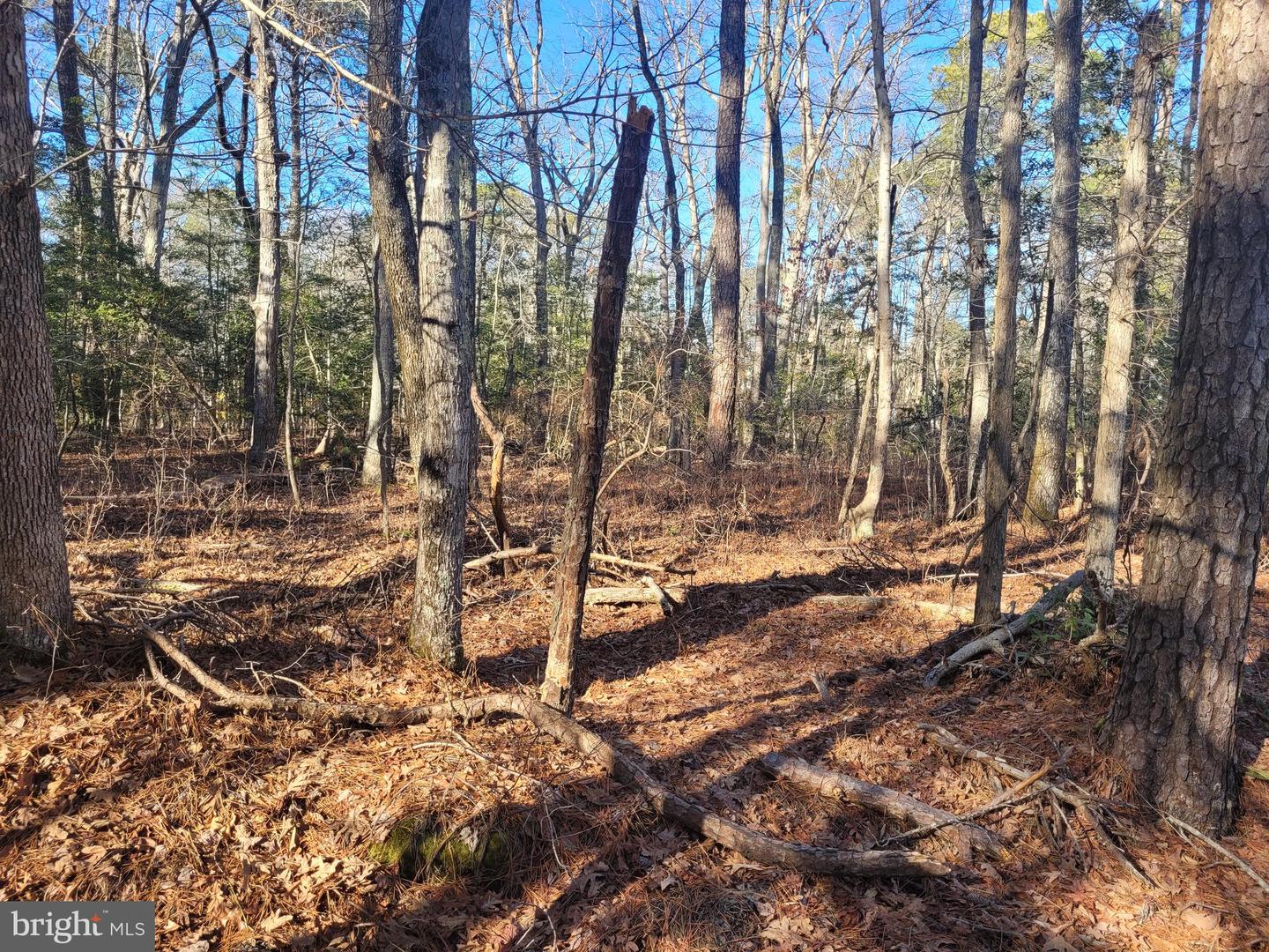 Lot 20 Orange Drive Property Photo 2