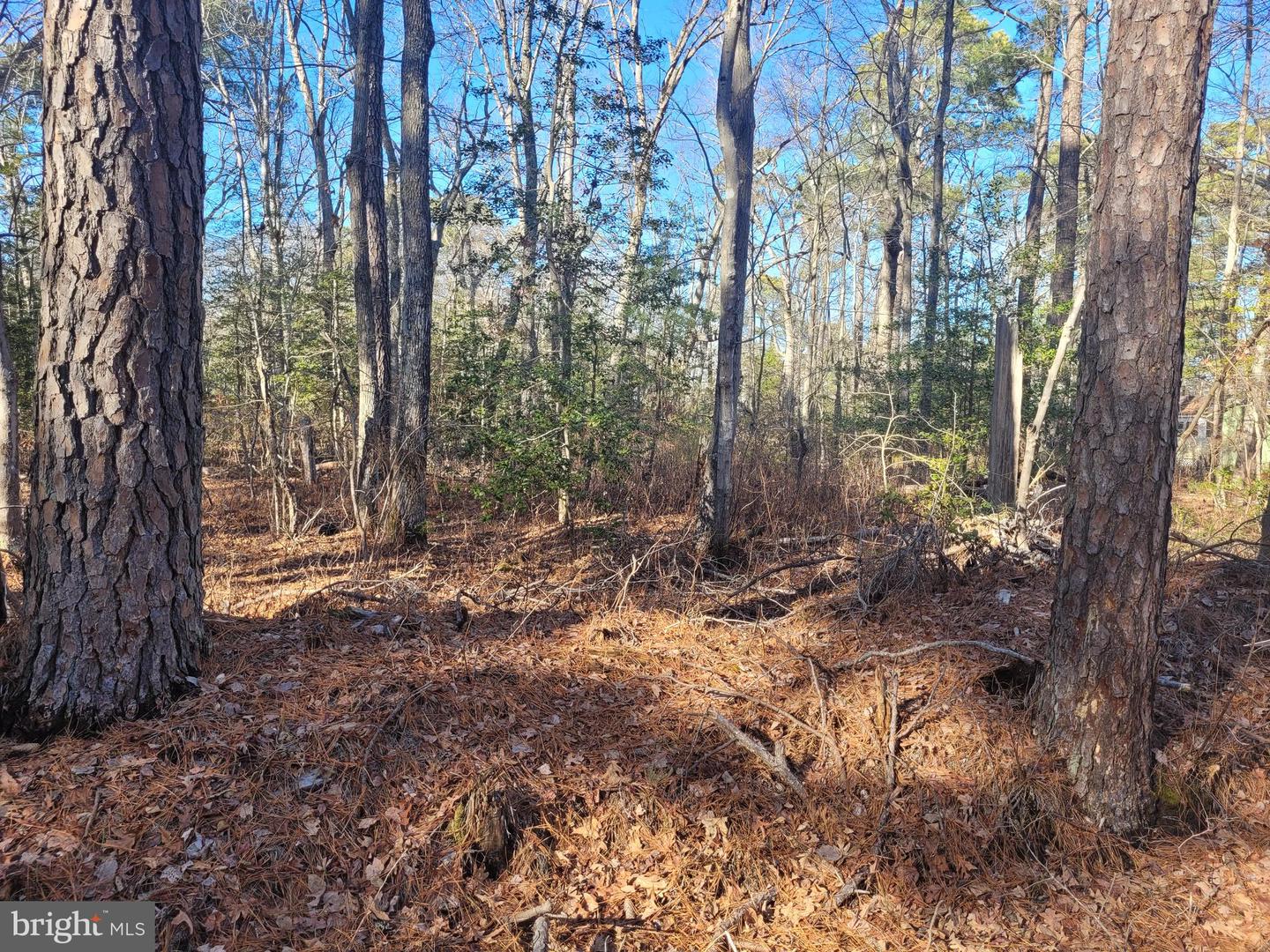 Lot 21 Orange Drive Property Photo 1