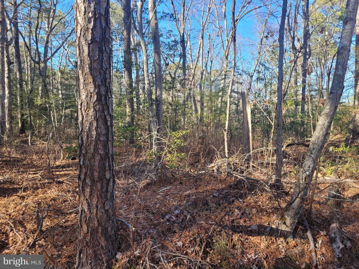 Lot 21 Orange Drive Property Photo 2