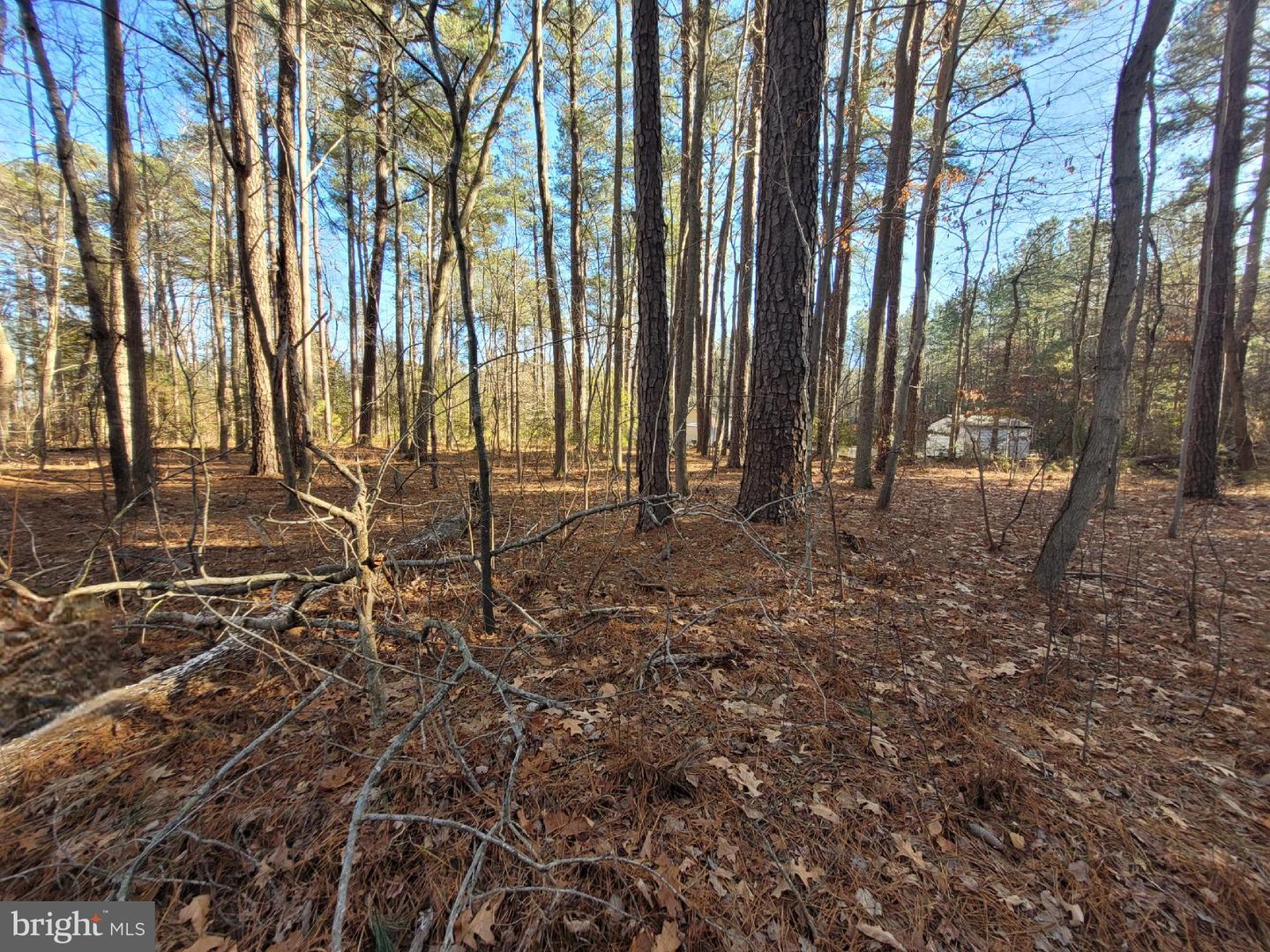 Lot 7 Diamond Drive Property Photo 2