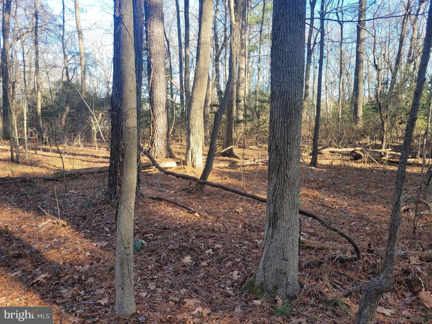 Lot 13 Holiday Lane Property Photo 1
