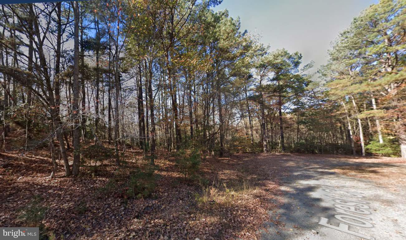 Lot 57 Forest Court Property Photo