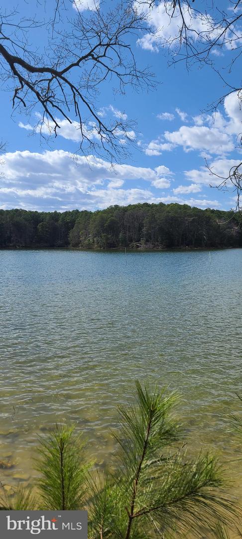 922 Skipjack Rd Property Photo 4