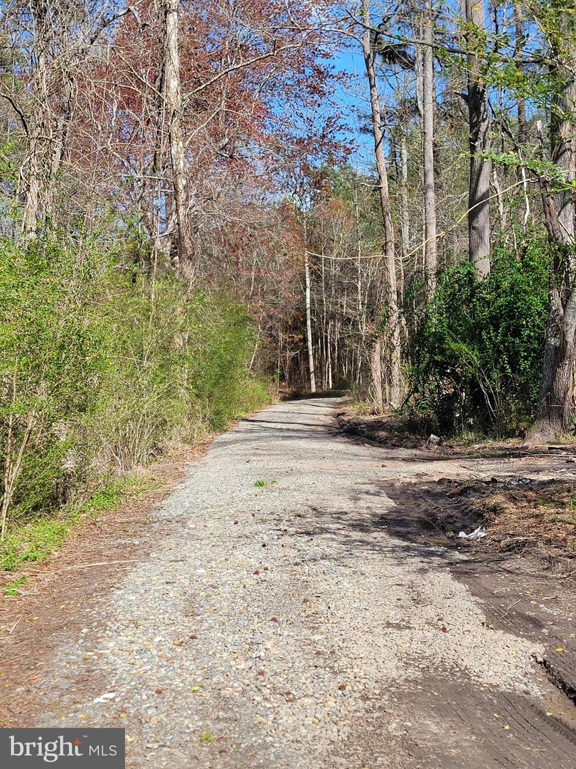 922 Skipjack Rd Property Photo 6