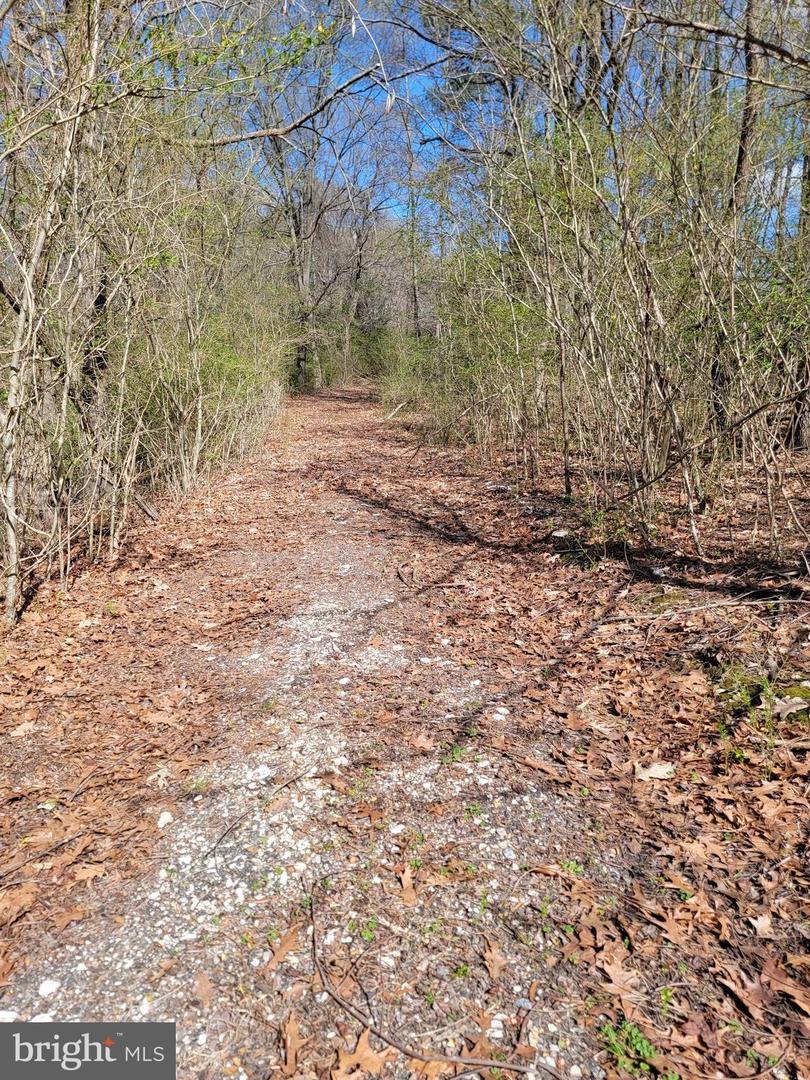 922 Skipjack Rd Property Photo 7