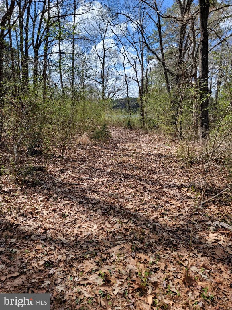 922 Skipjack Rd Property Photo 9
