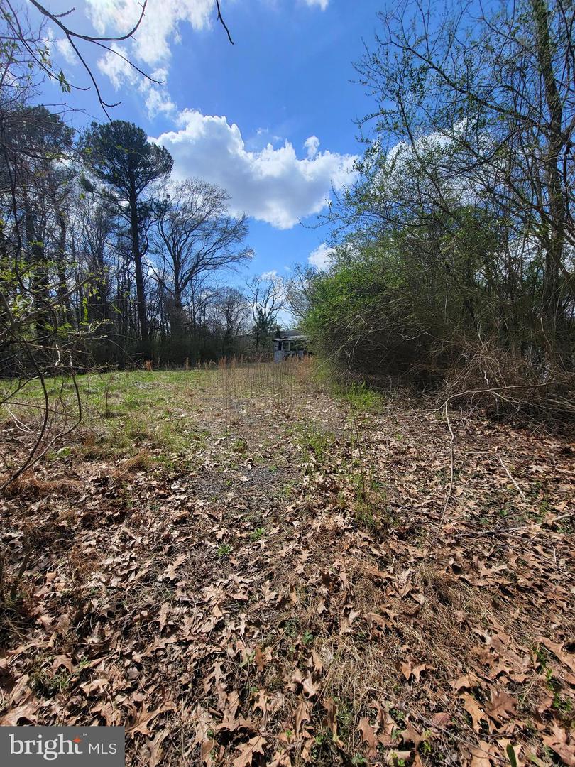 922 Skipjack Rd Property Photo 10