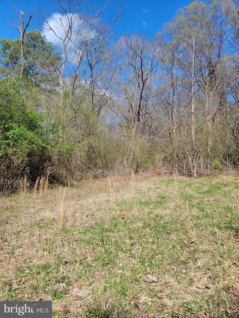 922 Skipjack Rd Property Photo 11