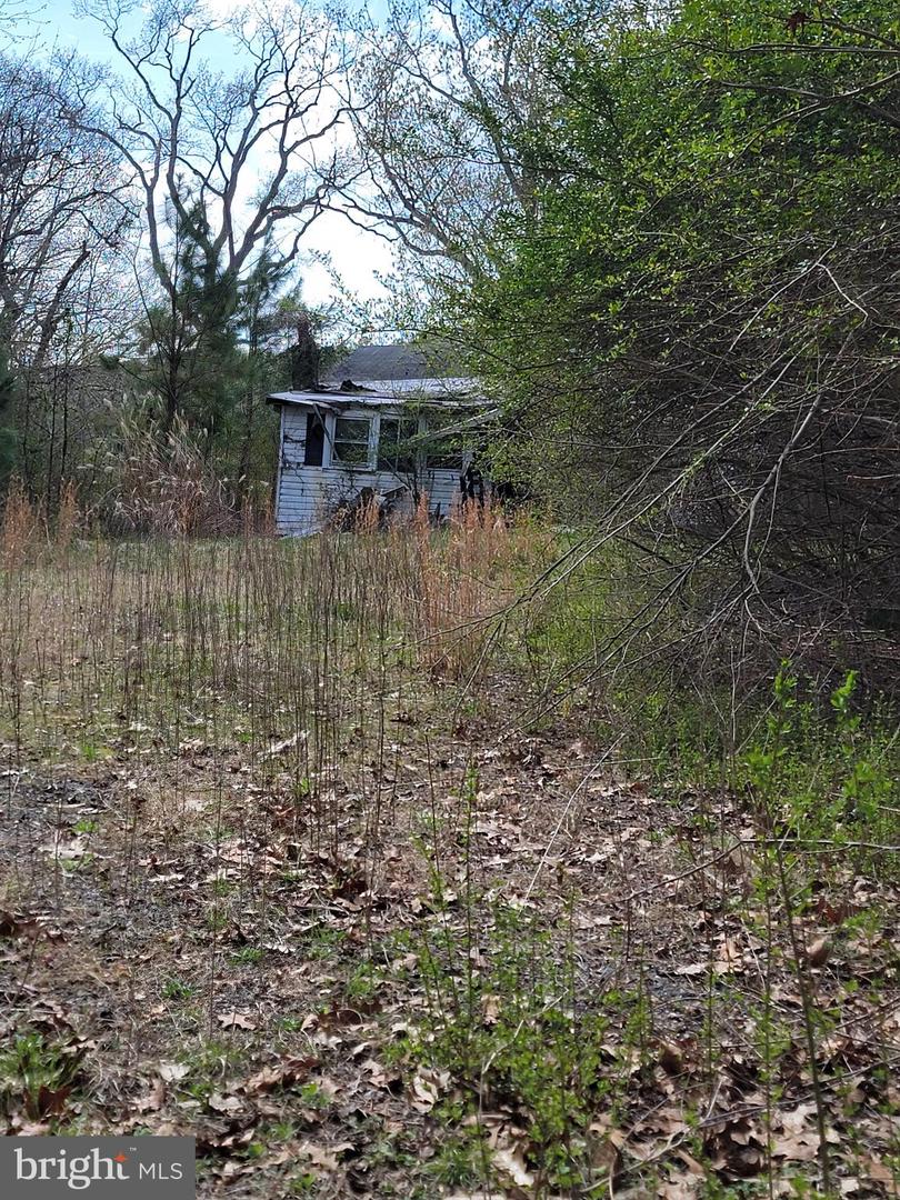 922 Skipjack Rd Property Photo 12