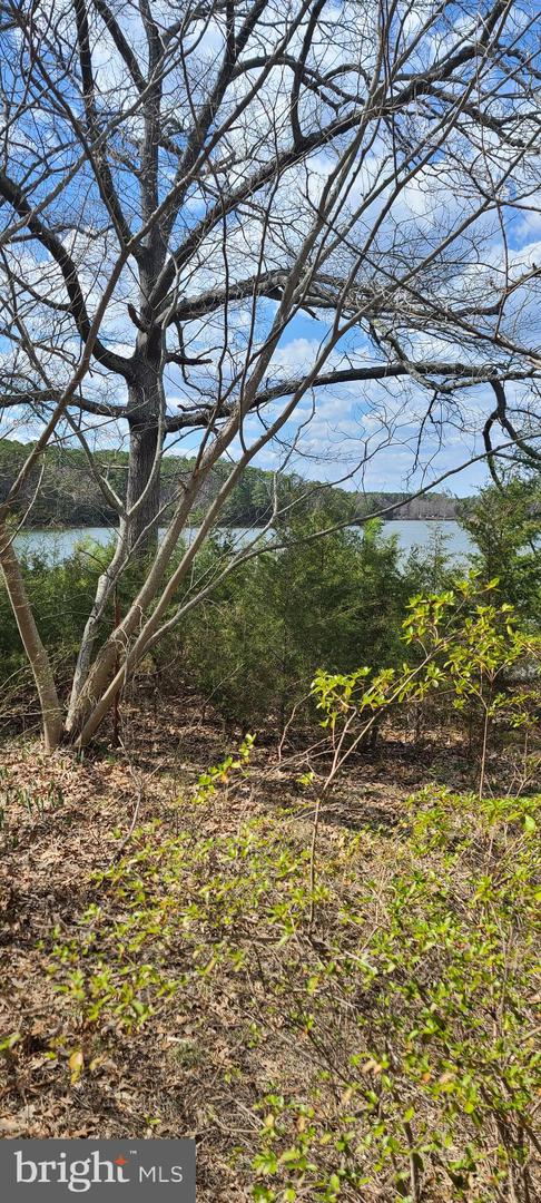 922 Skipjack Rd Property Photo 31