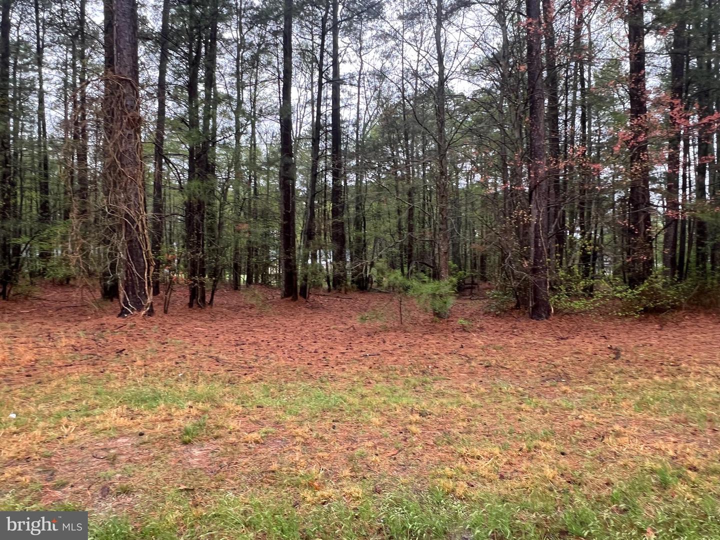 Lot 6 Royal Way Property Photo 1