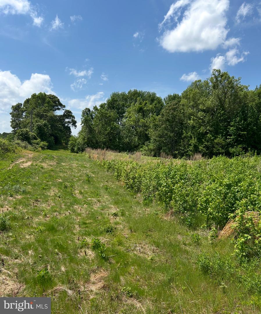 lOT 2B KINGS HWY Property Photo 1