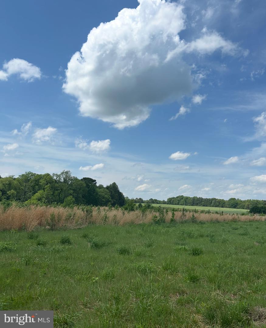 Lot 3C KINGS HWY Property Photo 1