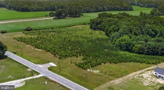 Lot 8 Kings Hwy Property Photo 1