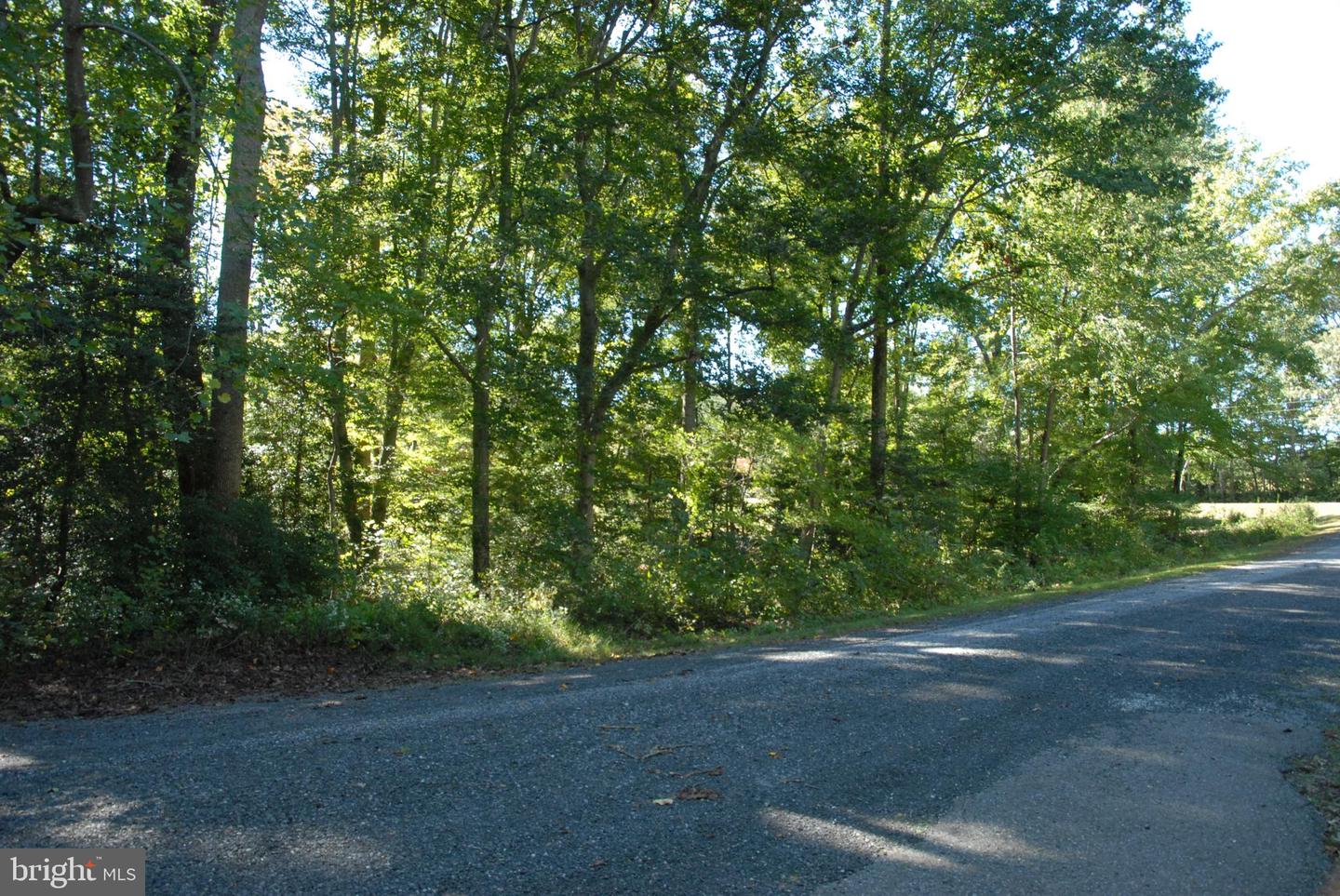 Lot 83 - Commons Ct Property Photo 5