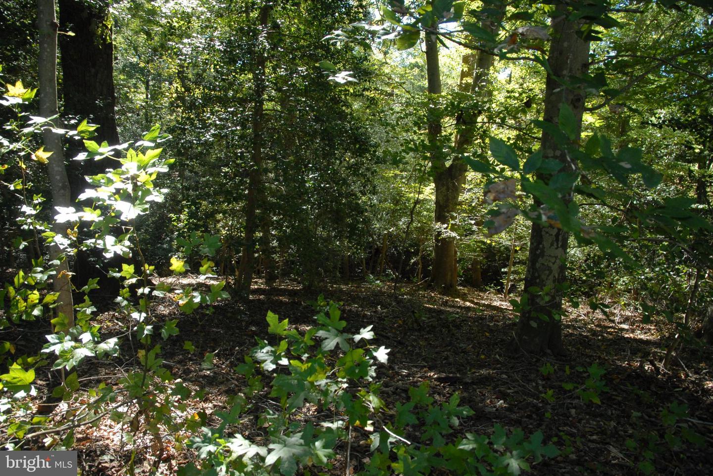 Lot 83 - Commons Ct Property Photo 16