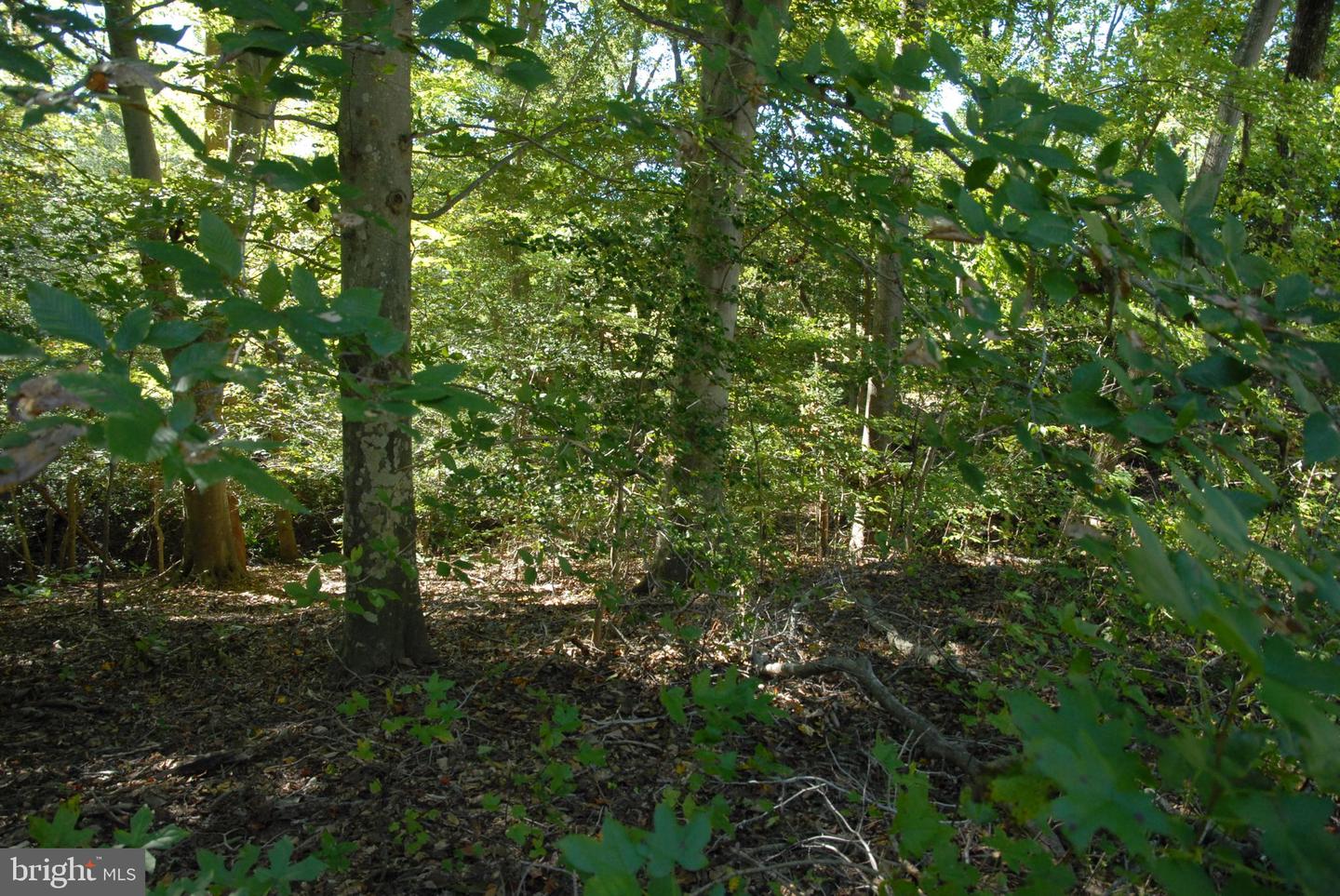 Lot 83 - Commons Ct Property Photo 17