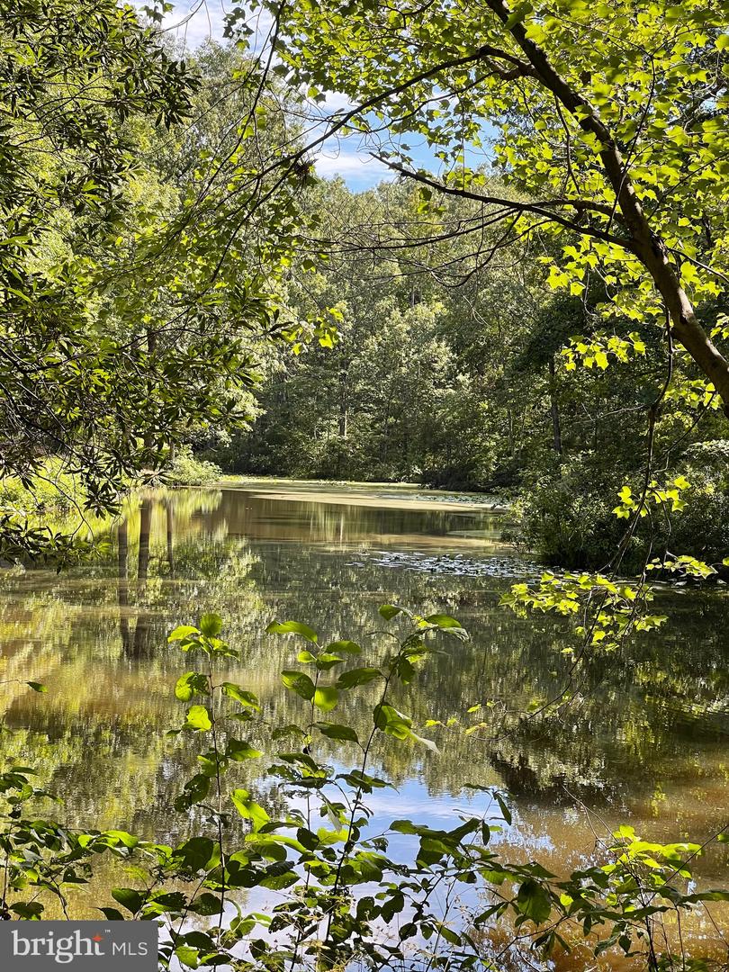 10c 9 3 18 Forest Grove Section Property Photo 1