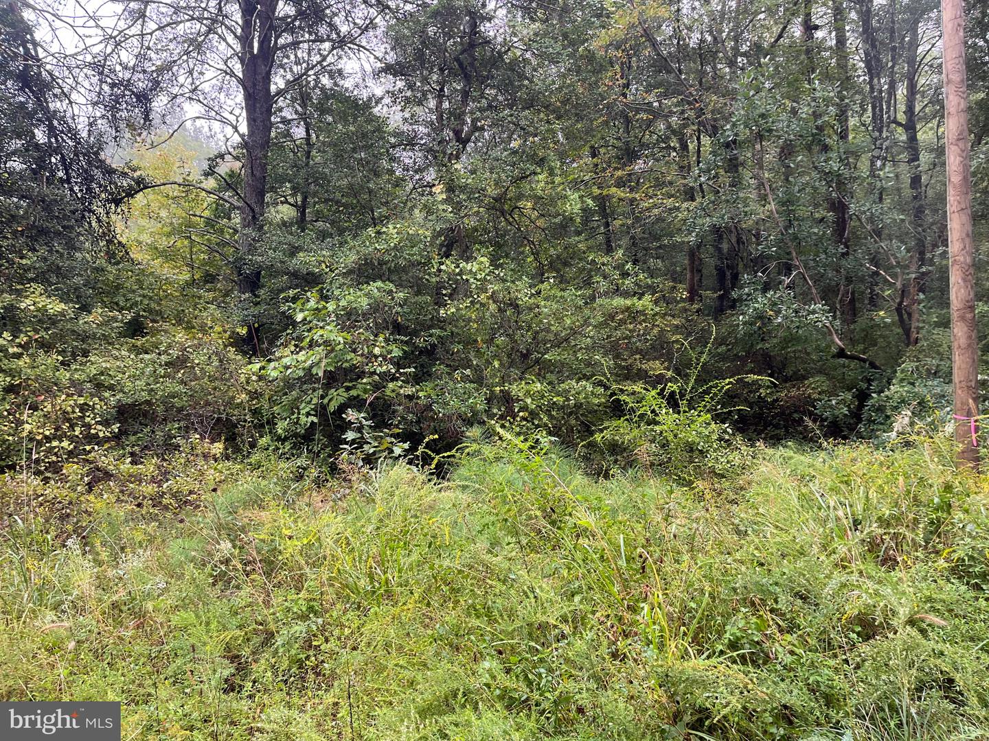 Lot 20 Chrystal Rd. Property Photo 1