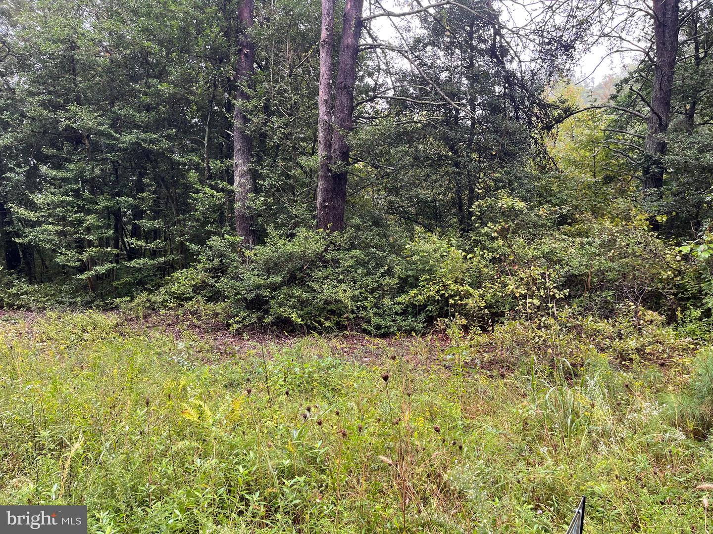Lot 20 Chrystal Rd. Property Photo 4