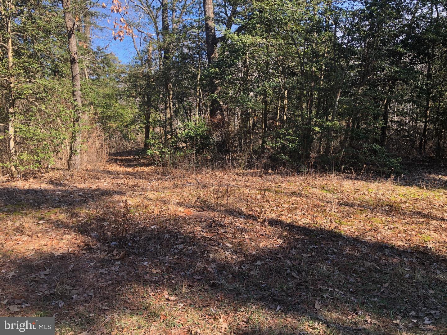 Lot 20 Chrystal Rd. Property Photo 5