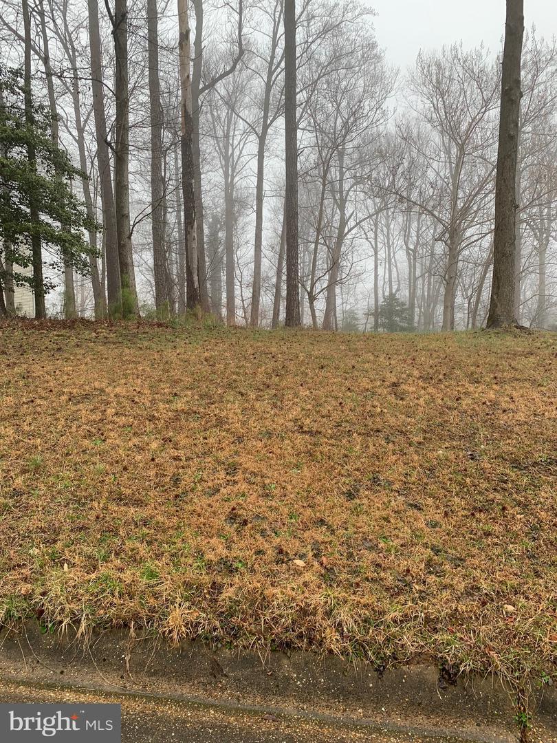 LOT 42 BAY POINTE DR Property Photo 1