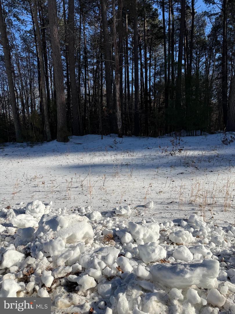 Lot #2 Woodberry Dr Property Photo 1