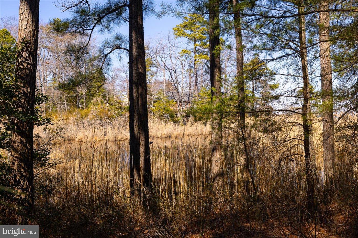 198 Canoe Pl Property Photo 52