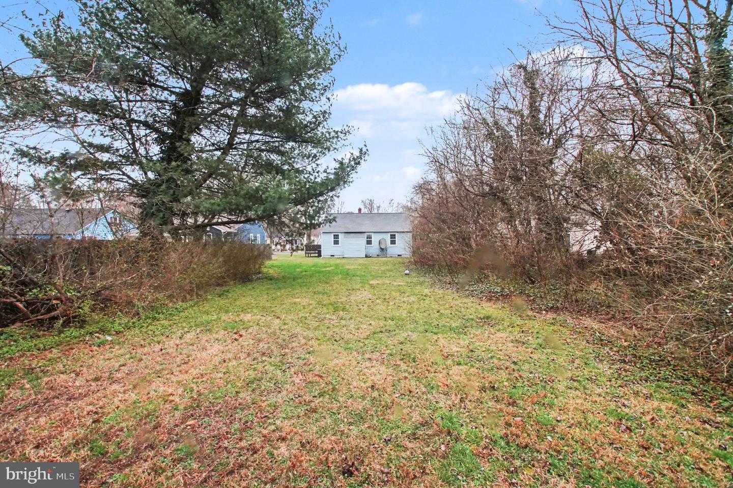 217 Locust Ave Property Photo 27