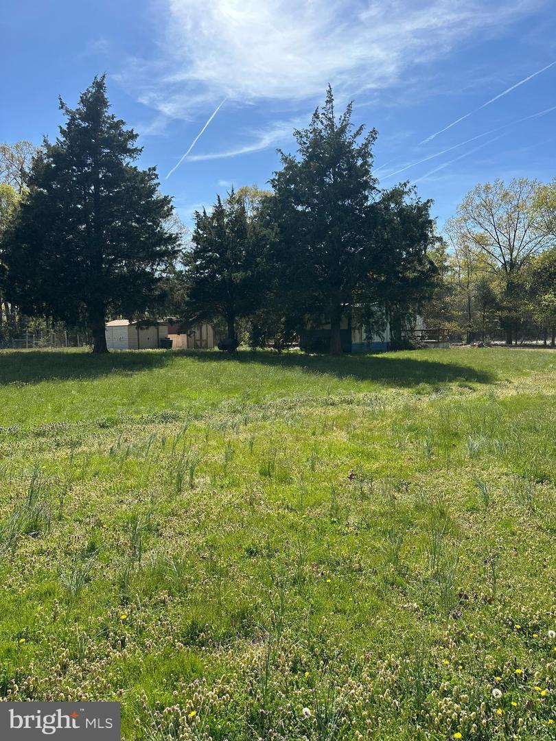 1483 Wilton Property Photo 9