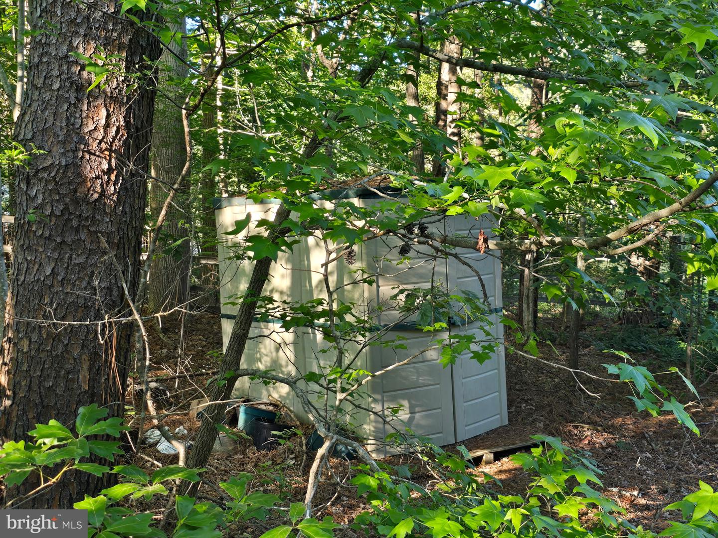 831 Riverview Property Photo 16