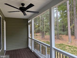 Lot 21 Randall Property Photo 11