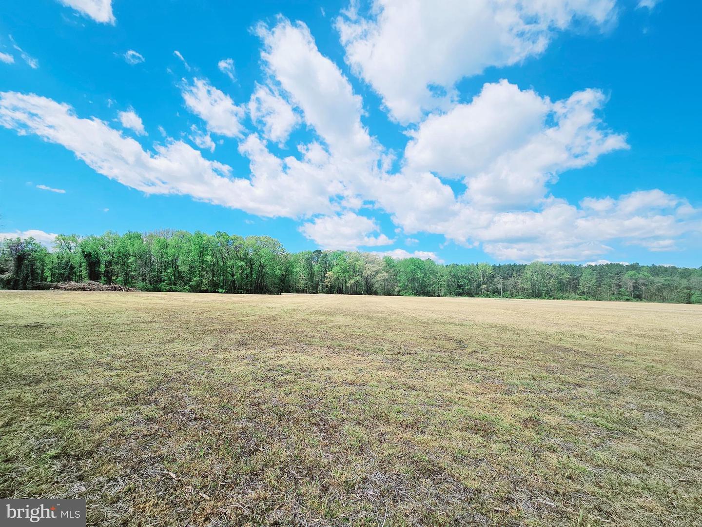 Lot 5 Zacata Rd Property Photo 8
