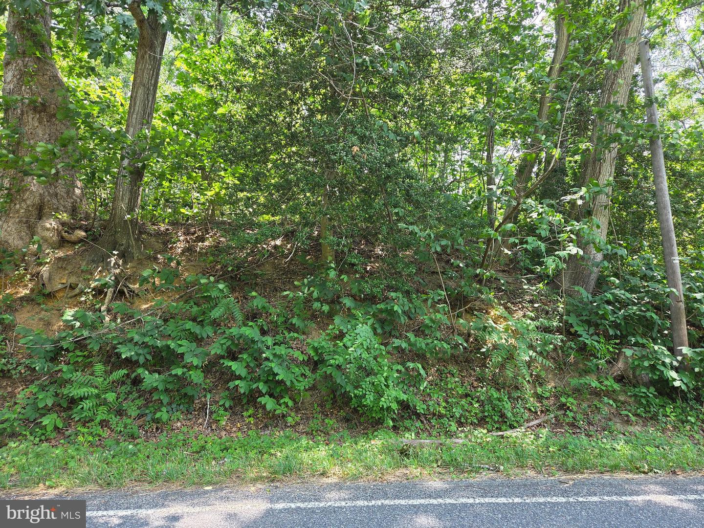 Lot 29 Prospect Hill Road Property Photo 1