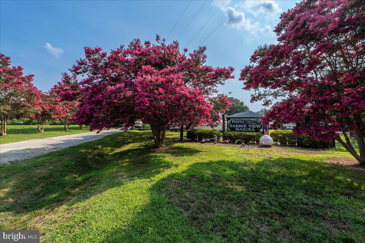 277 Harbor View Cir Property Photo 58