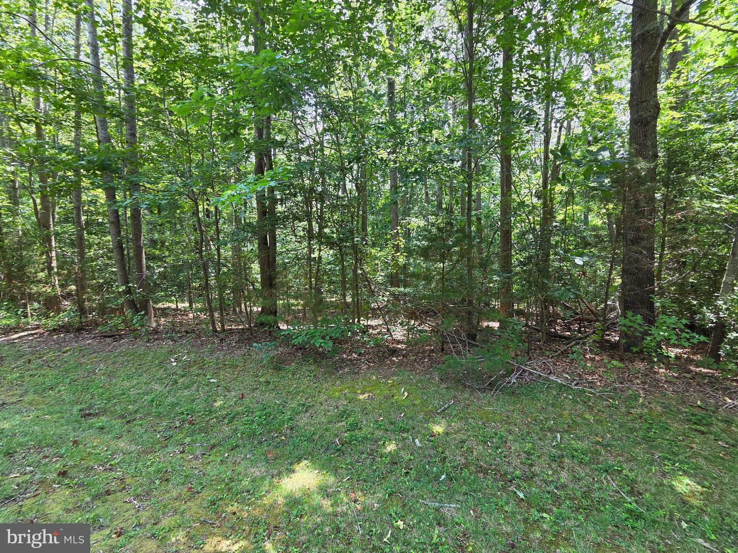 Lot 26 Greenpoint Landing Road Property Photo 1