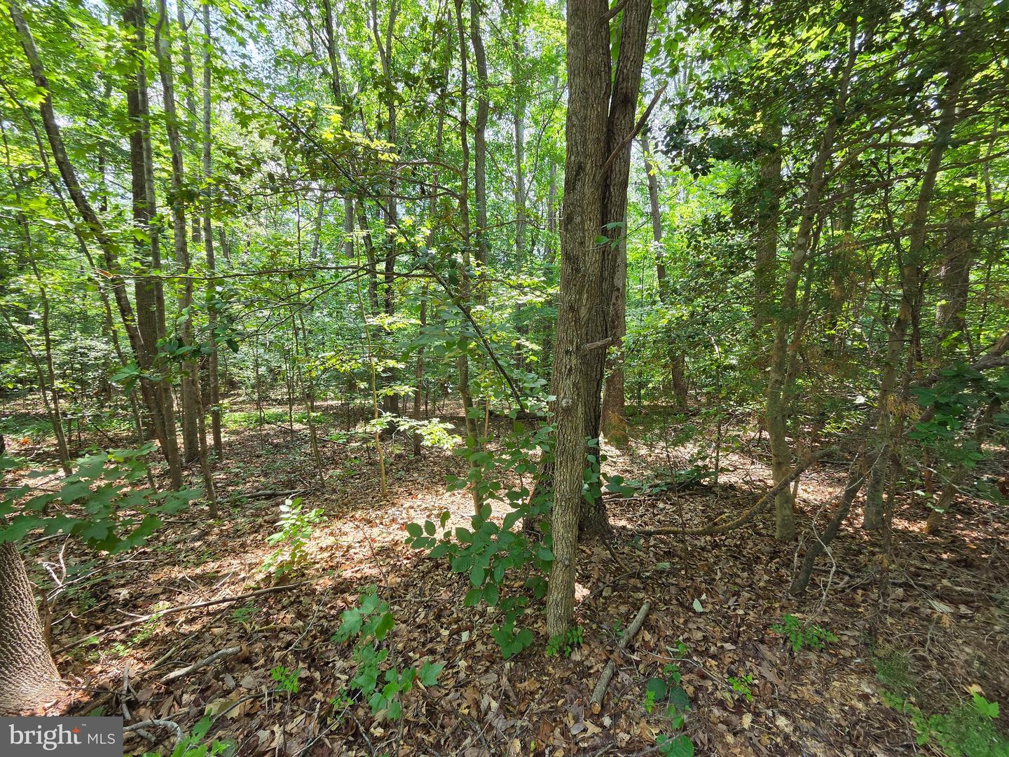 Lot 26 Greenpoint Landing Road Property Photo 3