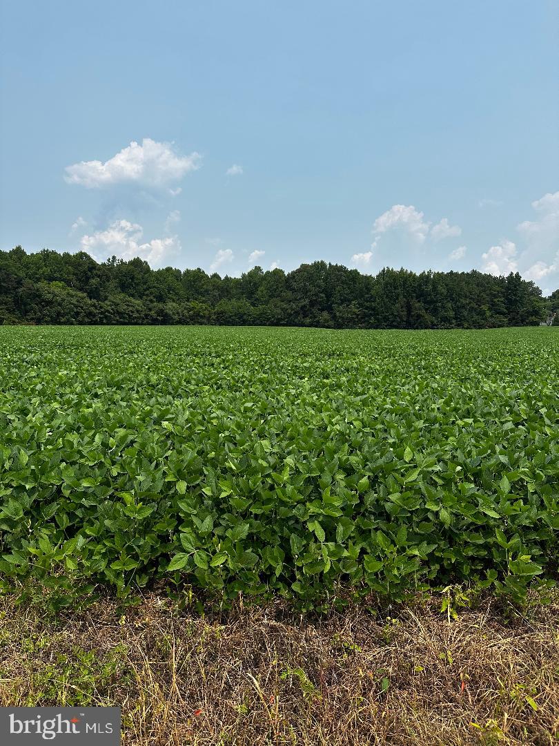 Tax Id 36 19 Zacata Rd Property Photo 1