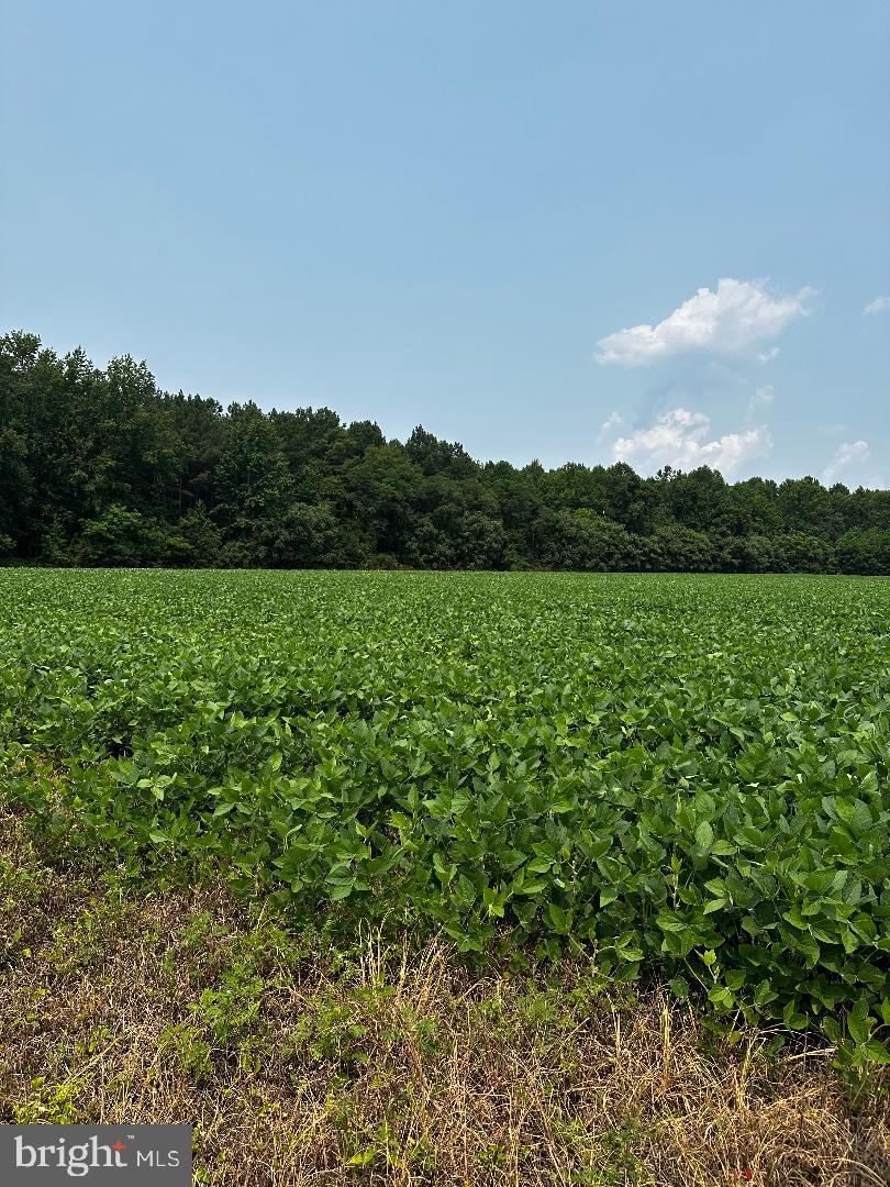 Tax Id 36 19 Zacata Rd Property Photo 2