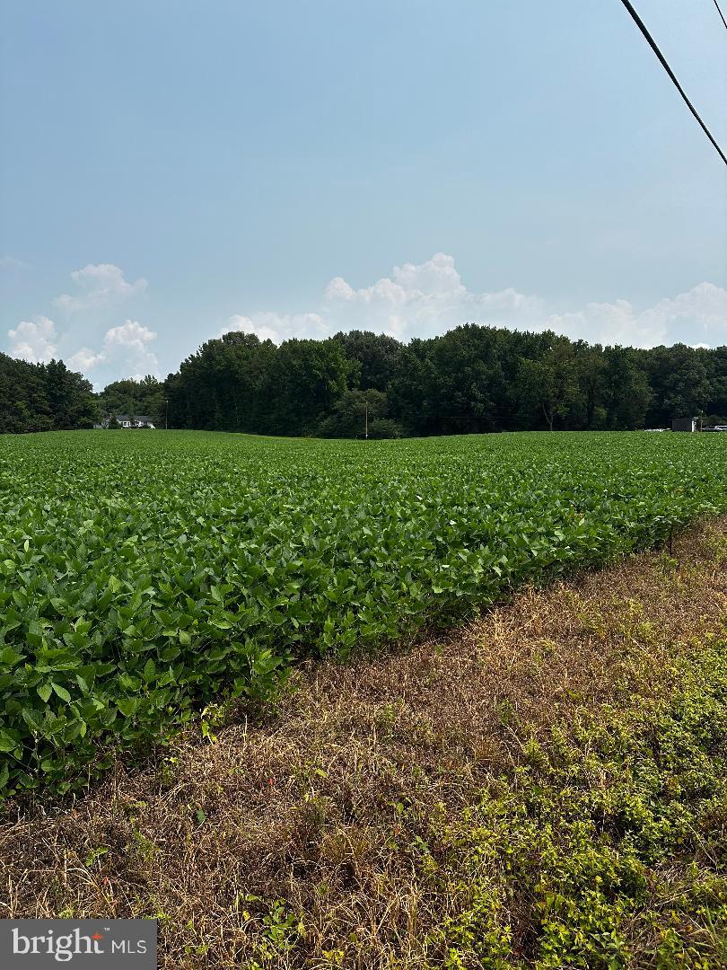 Tax Id 36 19 Zacata Rd Property Photo 3