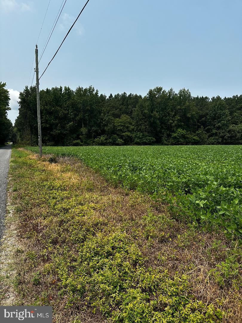 Tax Id 36 19 Zacata Rd Property Photo 4