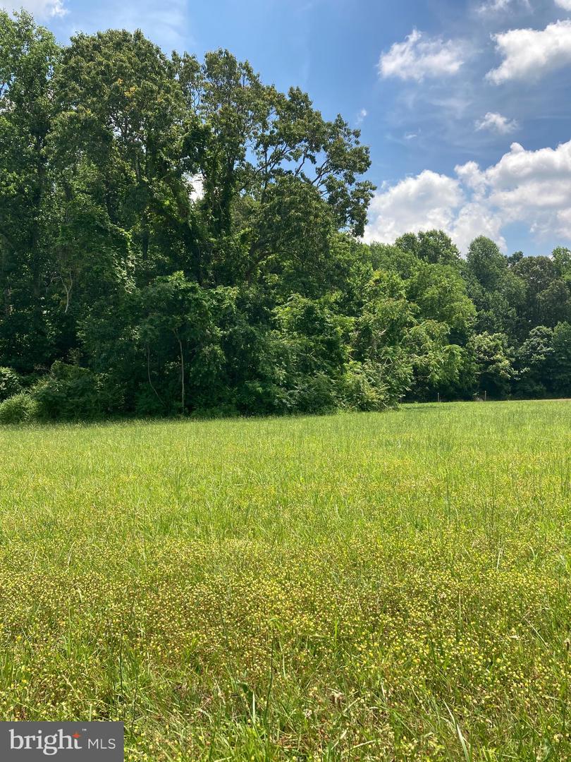 LOT 35 PROSPECT HILL RD Property Photo 1