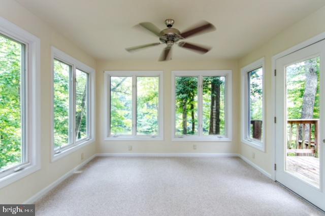 45 Knights Way Property Photo 13