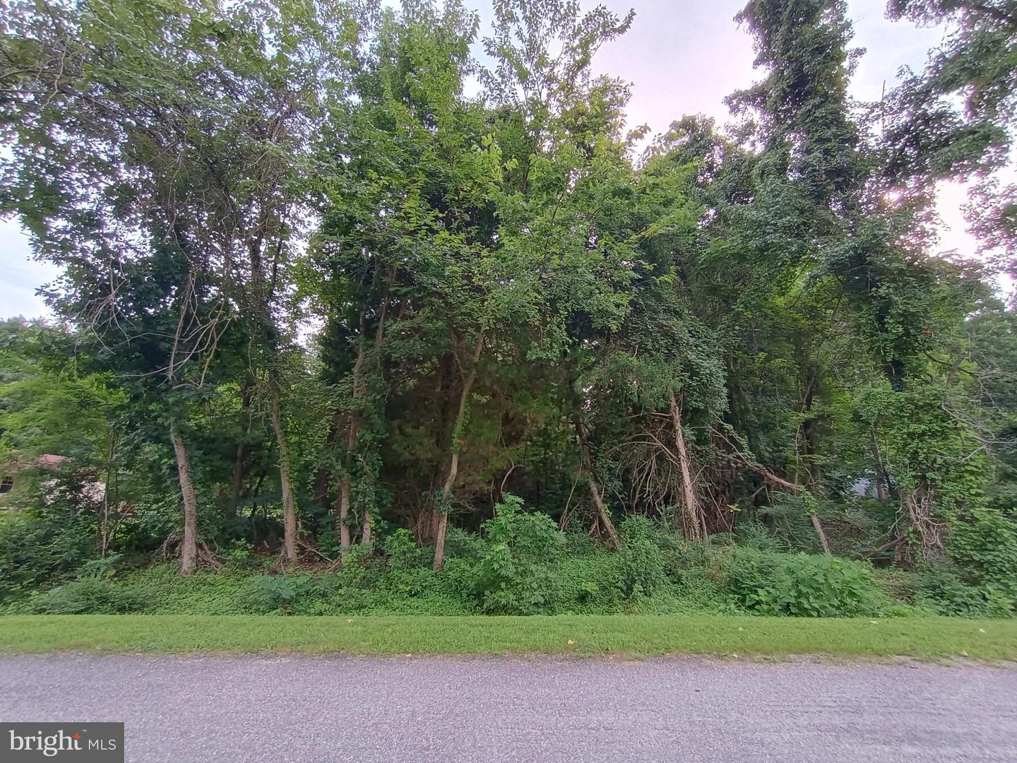 Lot 51 American Drive Property Photo 3