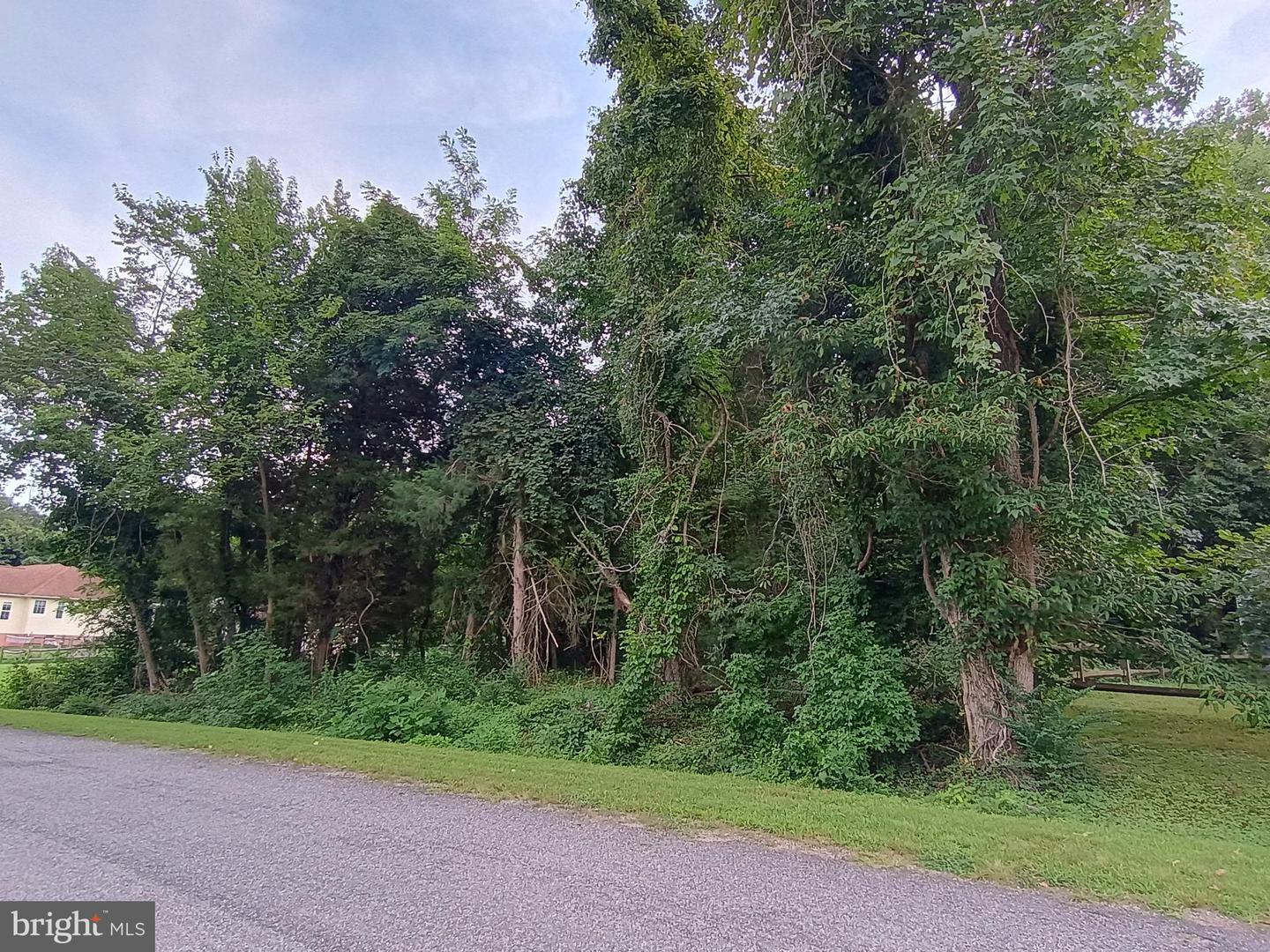 Lot 51 American Drive Property Photo 4