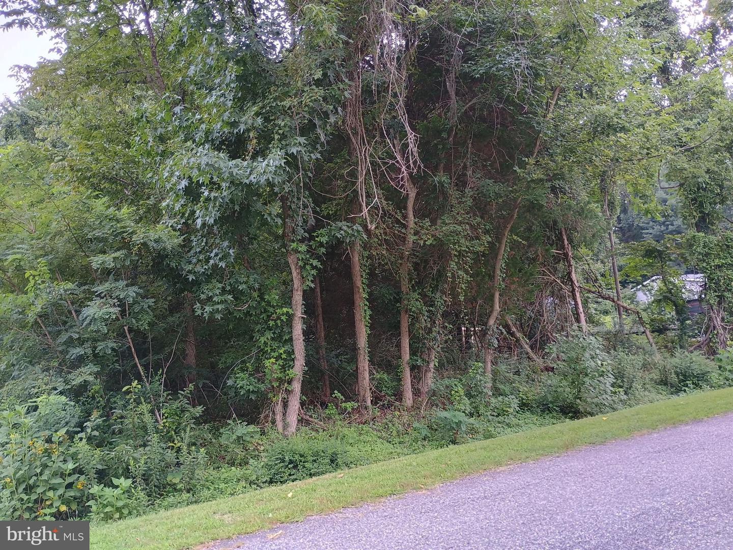 Lot 51 American Drive Property Photo 5