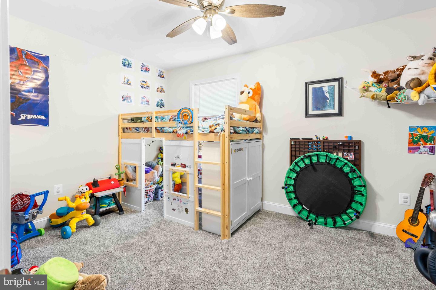 45 Jaws Ct Property Photo 18