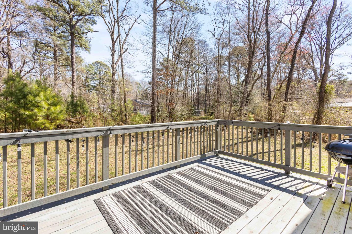 45 Jaws Ct Property Photo 27